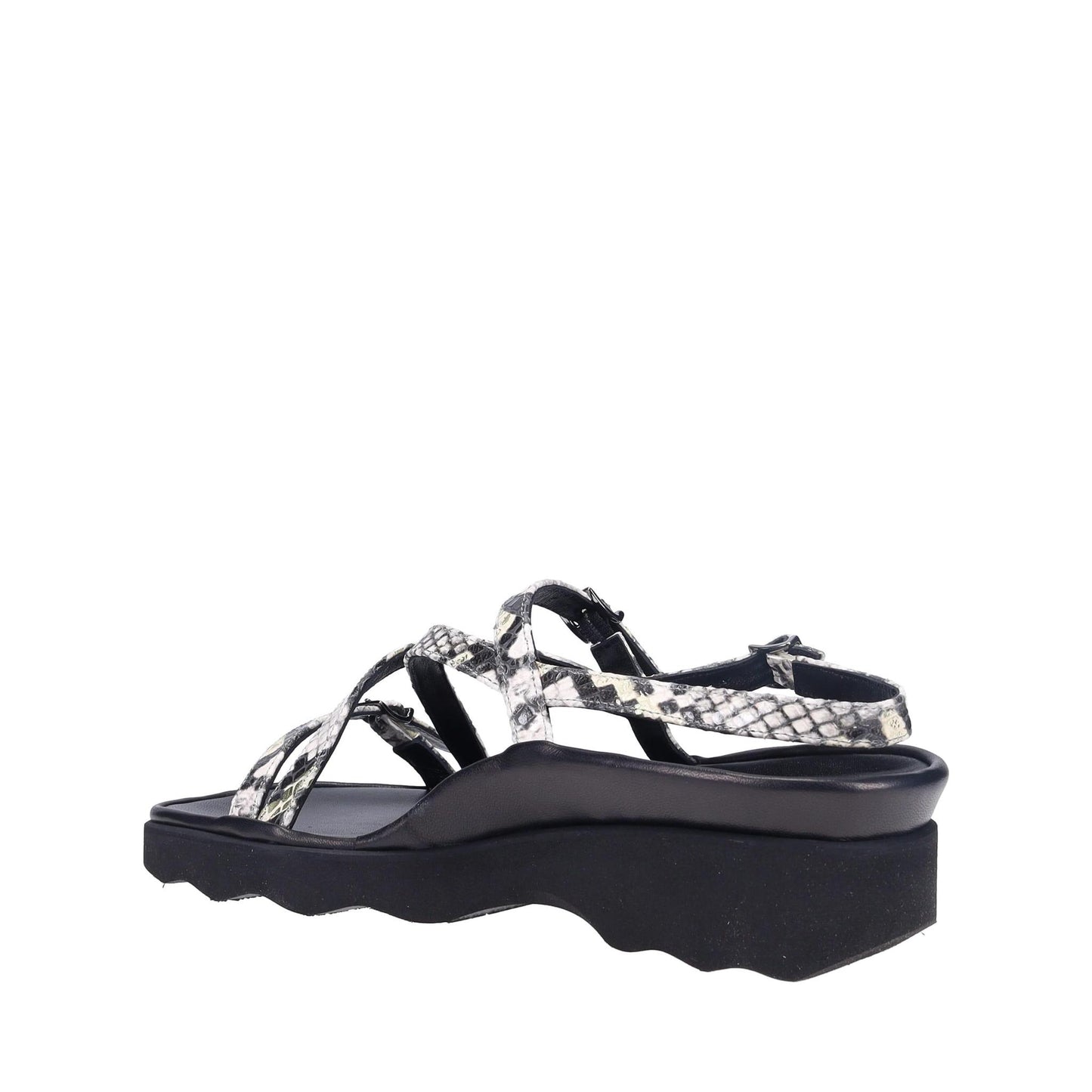 Wave by THIERRY RABOTIN Ivory Multi