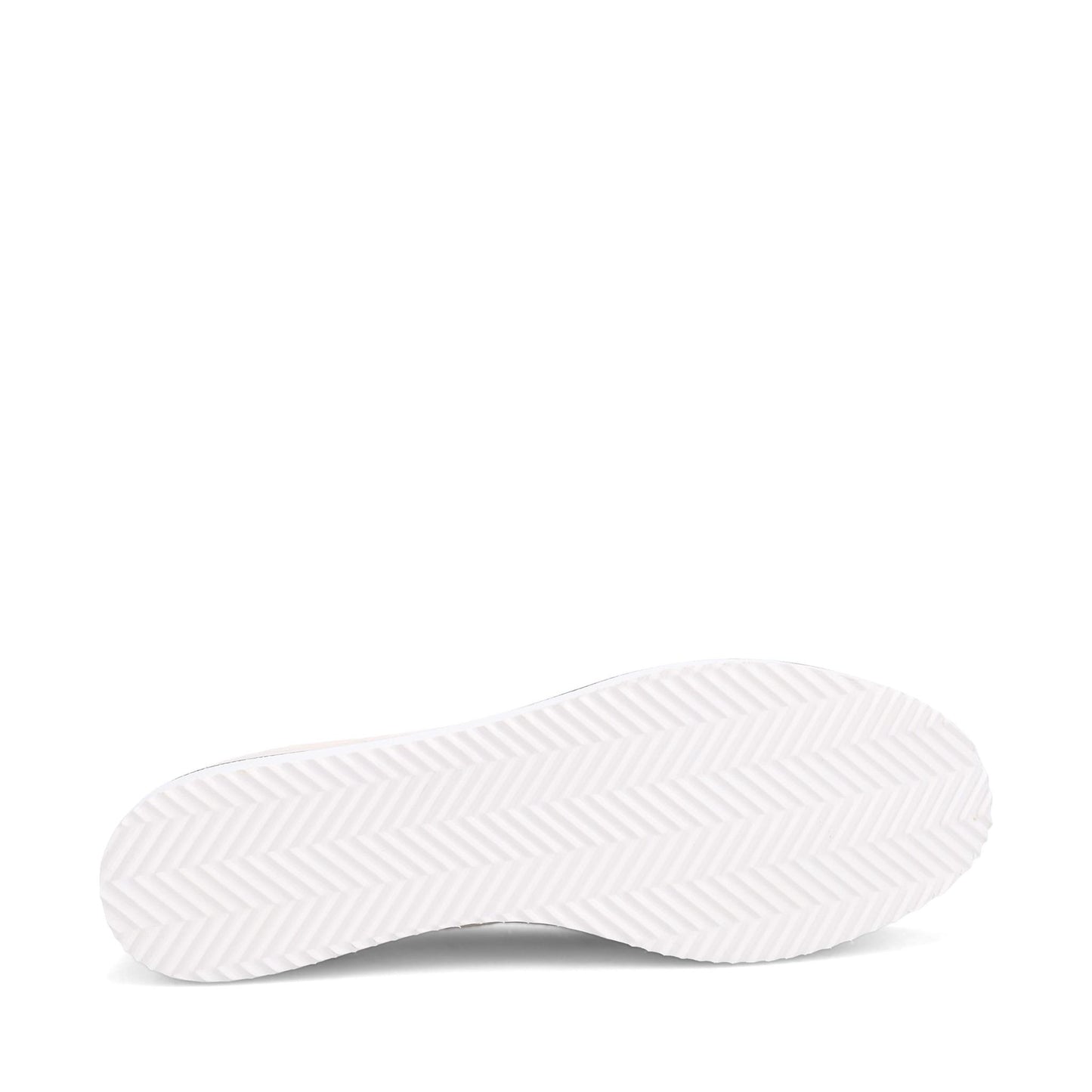 Nellaya Avara Oyster